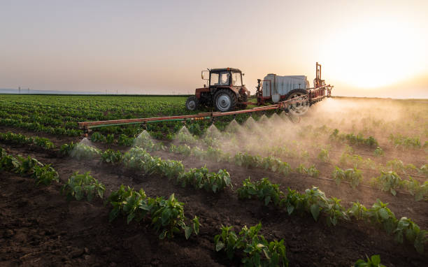 Best Commercial Pest Control Services  in East Riverdale, MD