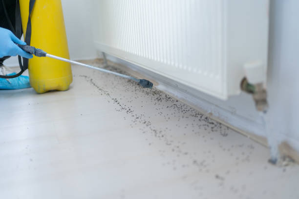Best Affordable Pest Control Services  in East Riverdale, MD