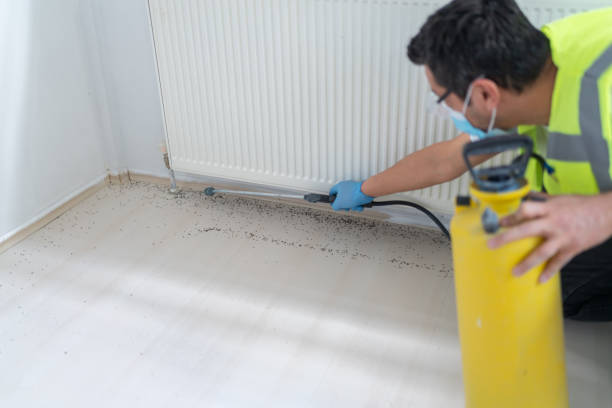 Best Emergency Pest Control  in East Riverdale, MD